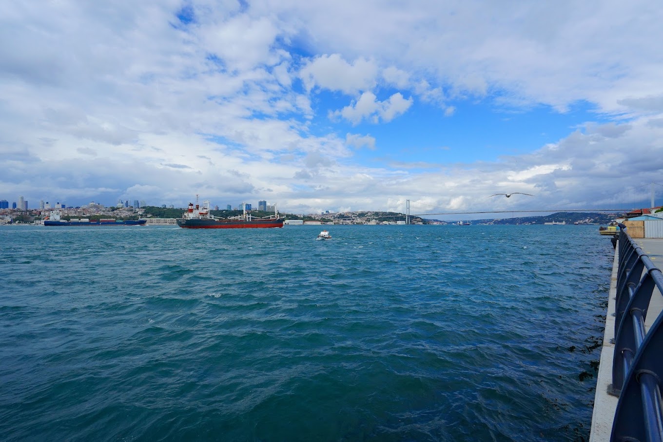 İBB PAŞALİMANI PARKI İSTANBUL